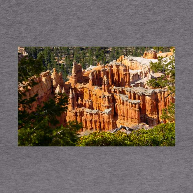 Bryce Canyon View 12 by Rob Johnson Photography